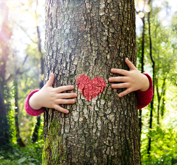 Kid Hugging Tree with Heart — Business Printers in Northern Rivers, NSW